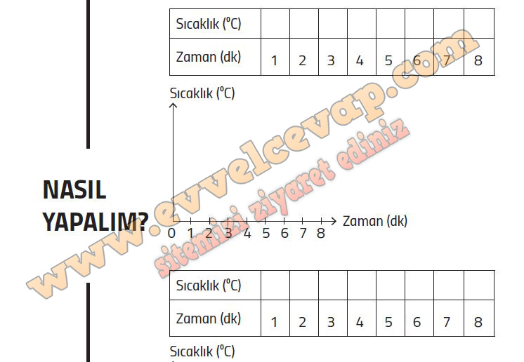 5. Sınıf Fen Bilimleri Ders Kitabı Cevapları Meb Yayınları Sayfa 135 Cevabı