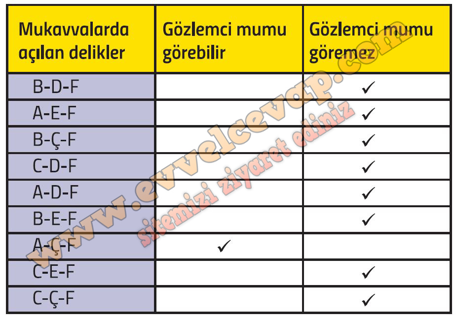 5. Sınıf Fen Bilimleri Ders Kitabı Cevapları Meb Yayınları Sayfa 171 Cevabı