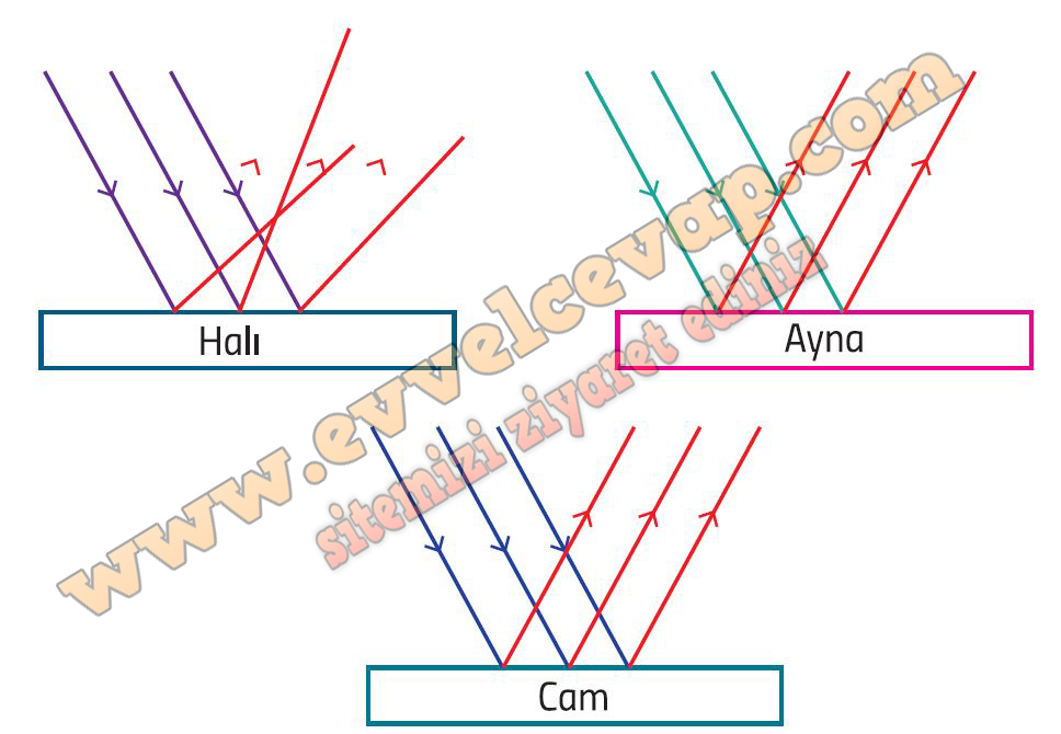 5. Sınıf Fen Bilimleri Ders Kitabı Cevapları Meb Yayınları Sayfa 177 Cevabı