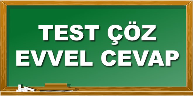 Test Çöz