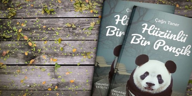 Çağrı Taner Hüzünlü Bir Ponçik Kitap Özeti