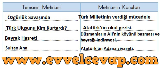 3.  Sınıf SDR Dikey Yayıncılık Türkçe Ders Kitabı Sayfa 221 Cevabı