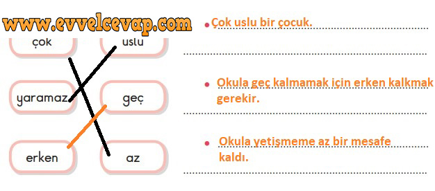Bisiklet Metni Etkinlik Cevapları (3. Sınıf Türkçe)