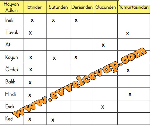3. Sınıf Meb Yayınları Hayat Bilgisi Ders Kitabı Sayfa 158 Cevabı