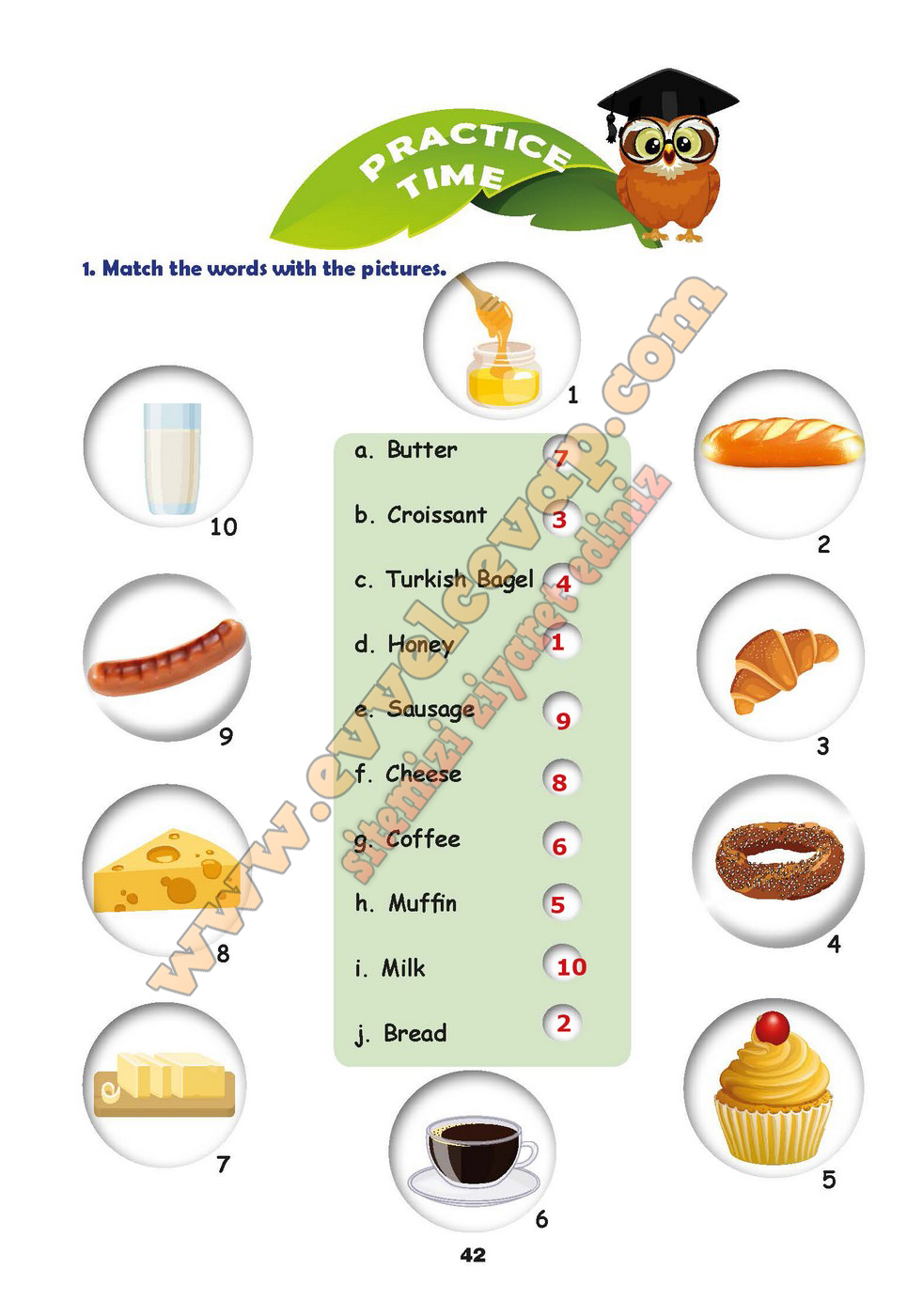 6. Sınıf Meb Yayınları İngilizce Kitabı Sayfa 42 Cevabı
