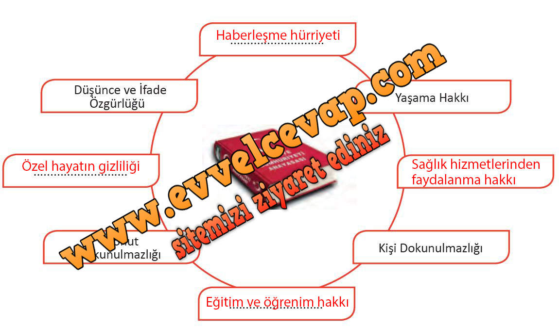 6. Sınıf Meb Yayınları Sosyal Bilgiler Ders Kitabı Sayfa 206 Cevabı