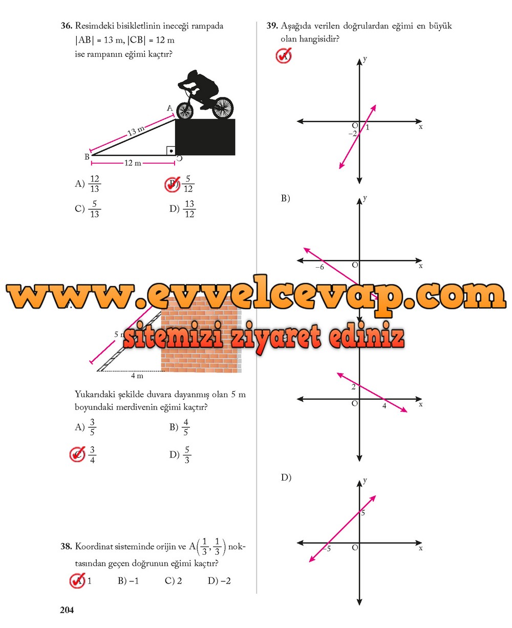 8. Sınıf Ekoyay Yayıncılık Matematik Ders Kitabı Sayfa 204 Cevabı