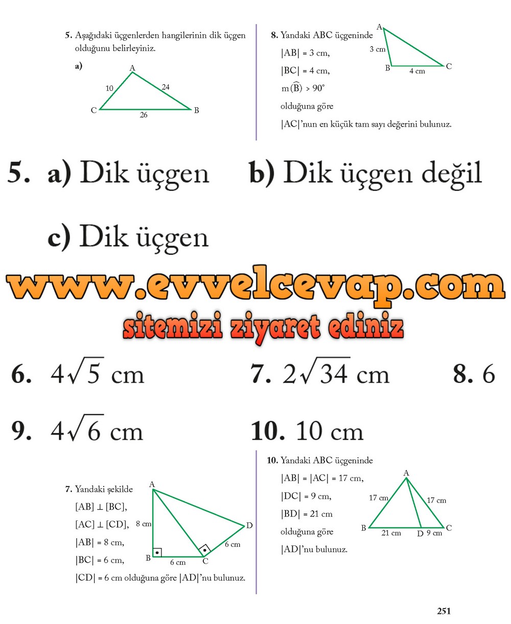 8. Sınıf Ekoyay Yayıncılık Matematik Ders Kitabı Sayfa 251 Cevabı