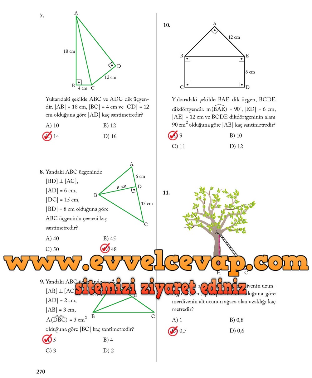8. Sınıf Ekoyay Yayıncılık Matematik Ders Kitabı Sayfa 270 Cevabı