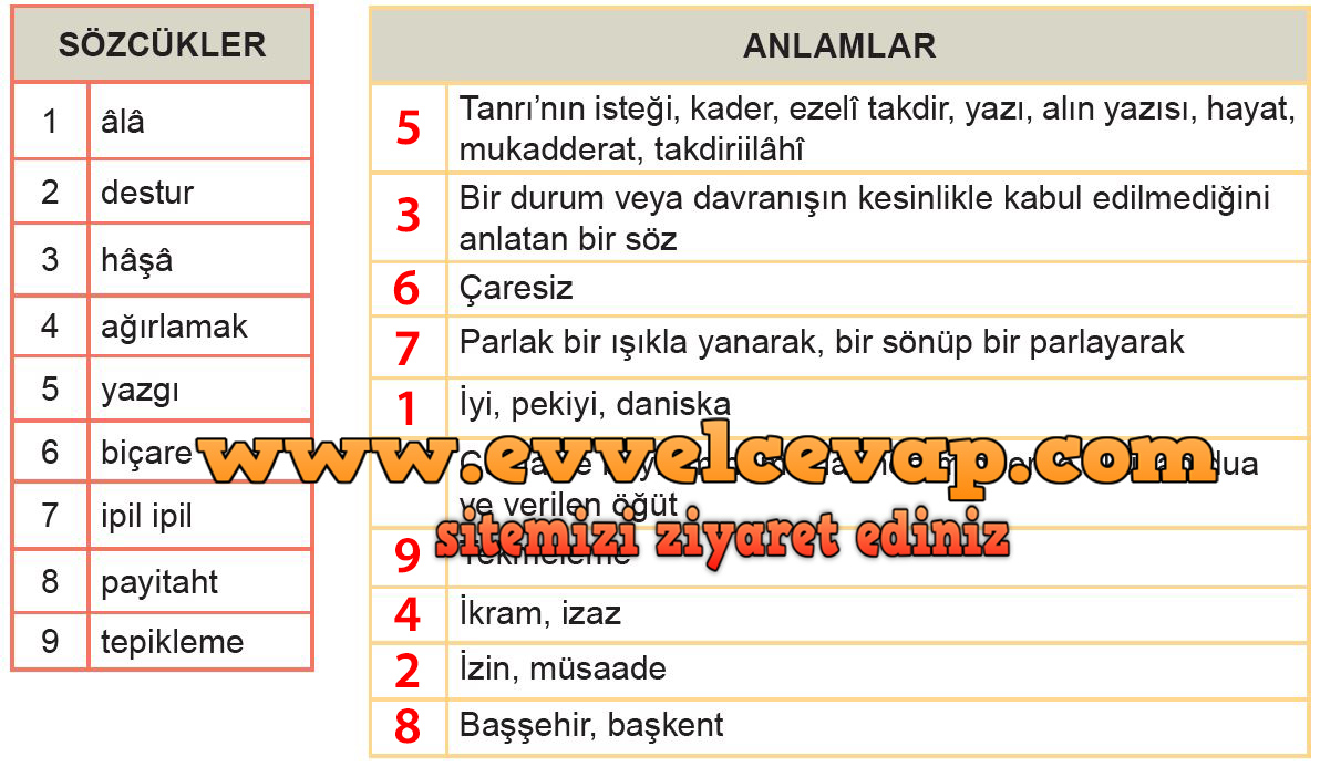 Yürekdede ile Padişah Metni Etkinlik Cevapları (8. Sınıf Türkçe)