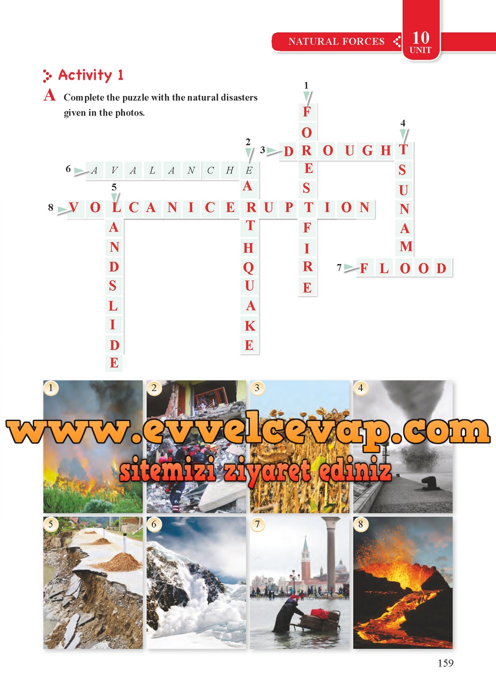 8. Sınıf Tutku Yayıncılık İngilizce Öğrenci Çalışma Kitabı Sayfa 159 Cevabı