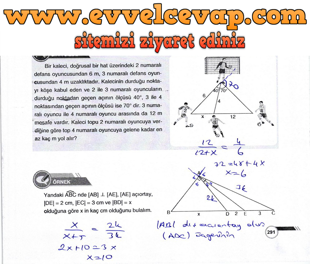 9. Sınıf Matematik Ders Kitabı Sayfa 291 Cevabı Ödev Yayınları