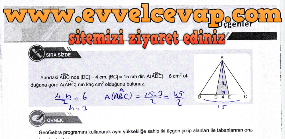 9. Sınıf Ödev Yayınları Matematik Ders Kitabı Sayfa 343 Cevabı