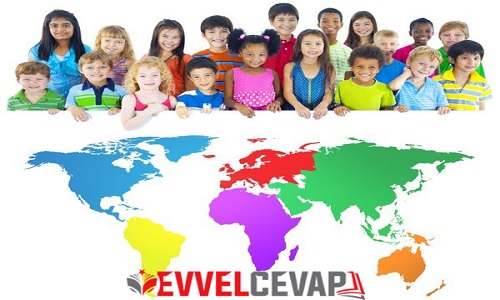 Bilge Adamın Yolu Metni Etkinlik Cevapları (8. Sınıf Türkçe)