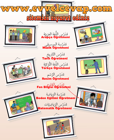 7. Sınıf Meb Yayınları Arapça Ders ve Çalışma Kitabı Sayfa 22 Cevabı