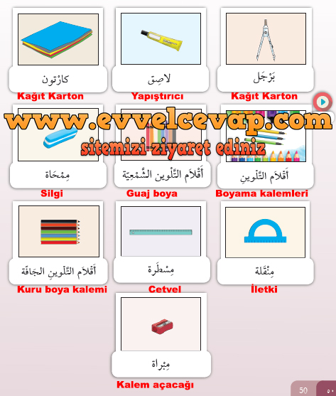 7. Sınıf Meb Yayınları Arapça Ders ve Çalışma Kitabı Sayfa 50 Cevabı