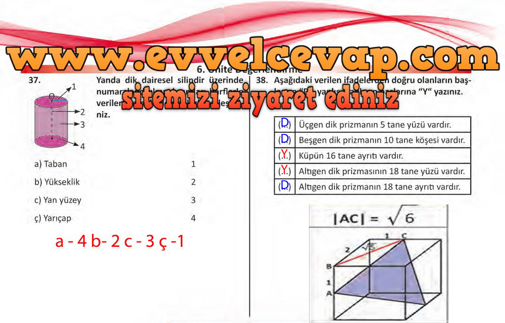 8. Sınıf Matematik Ders Kitabı Sayfa 232 Cevabı