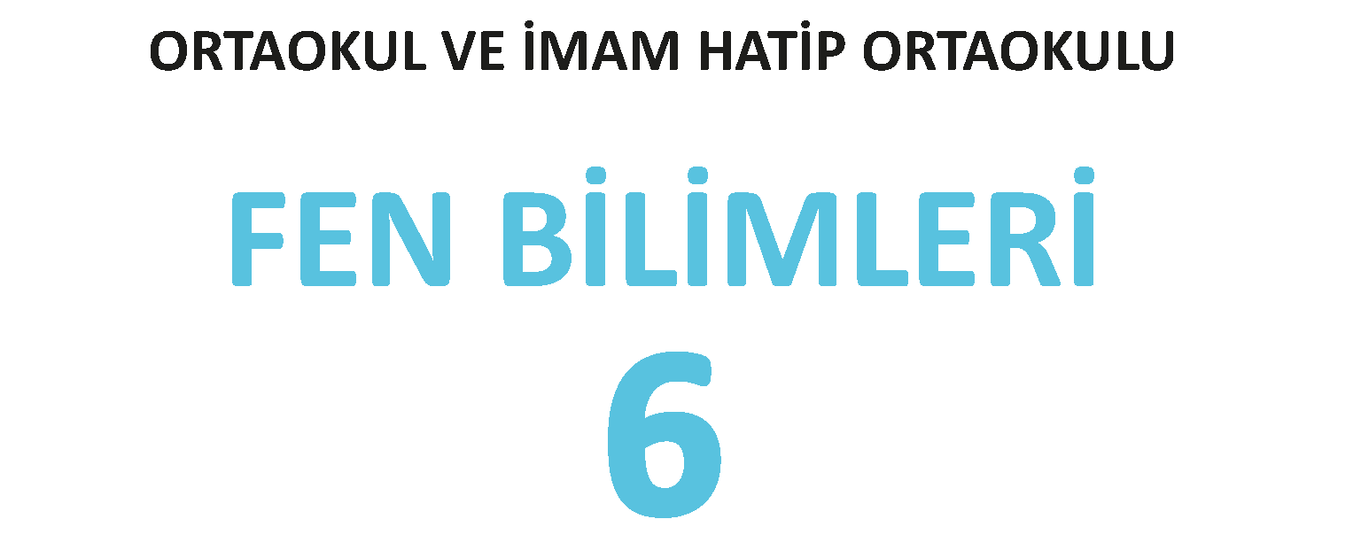 6. Sınıf Meb Yayınları Fen Bilimleri Ders Kitabı Cevapları 2026-2027