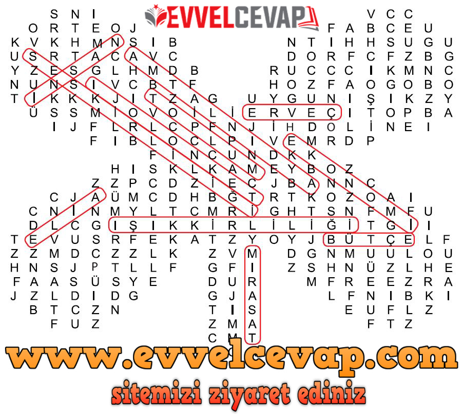 4. Sınıf Fen Bilimleri Ders Kitabı Sayfa 226 Cevabı Meb Yayınları