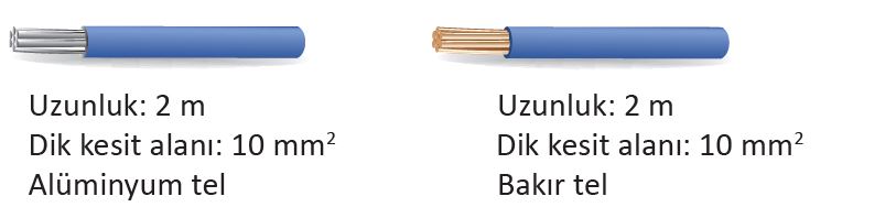 6. Sınıf Meb Yayınları Fen Bilimleri Ders Kitabı Sayfa 217 Cevapları