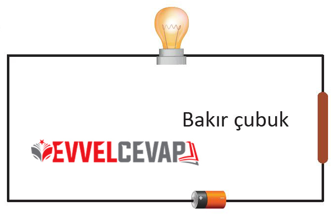 6. Sınıf Fen Bilimleri Ders Kitabı Sayfa 219 Cevabı Meb Yayınları