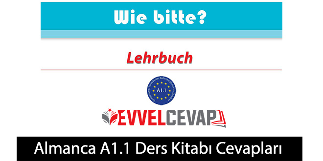 Almanca A1.1 Ders Kitabı Cevapları Meb Yayınları
