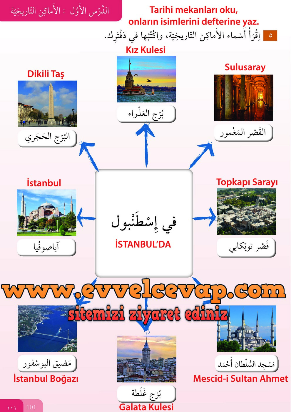 7. Sınıf Meb Yayınları Arapça Ders ve Öğrenci Çalışma Kitabı Sayfa 101 Cevabı