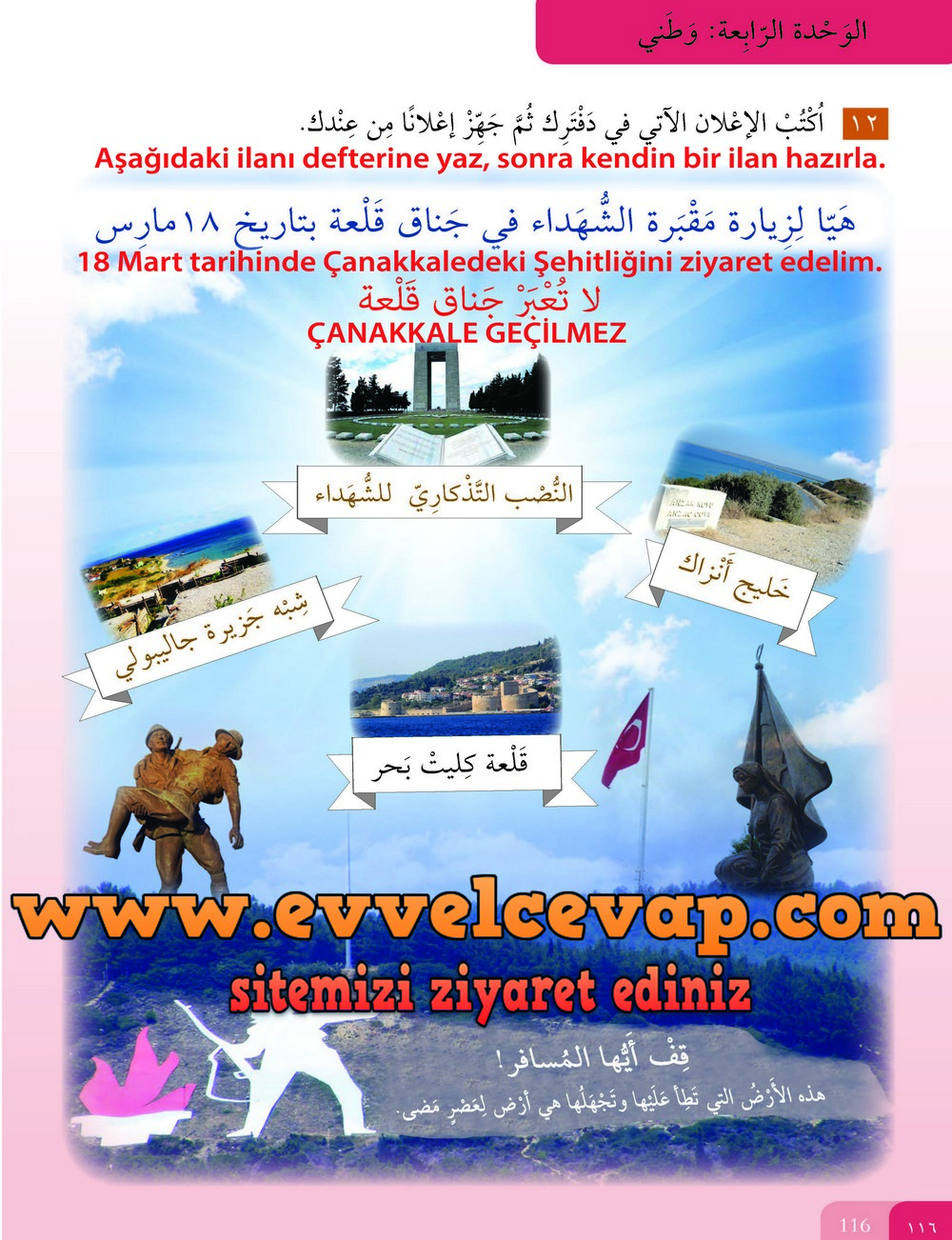 7. Sınıf Meb Yayınları Arapça Ders ve Öğrenci Çalışma Kitabı Sayfa 116 Cevabı