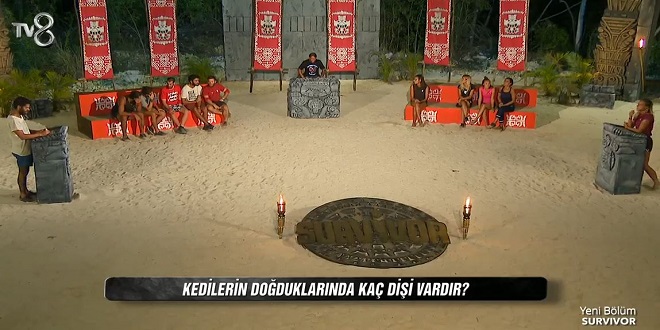 Kedilerin doğduklarında kaç dişi vardır?