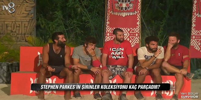 Stephen Parkes’in şirinler koleksiyonu kaç parçadır?