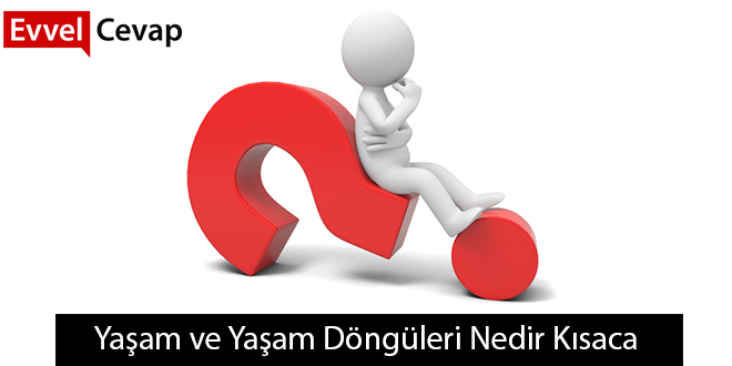 Yaşam ve Yaşam Döngüleri Nedir Kısaca