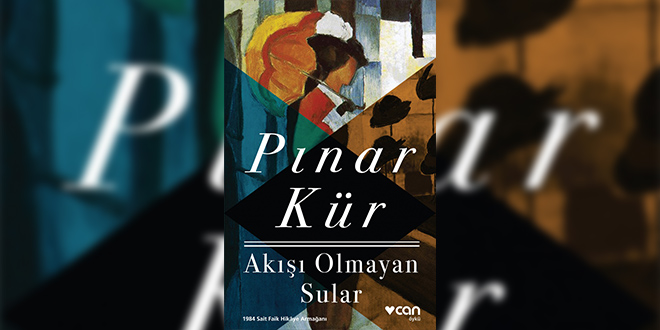 Akışı Olmayan Sular Özeti Pınar Kür
