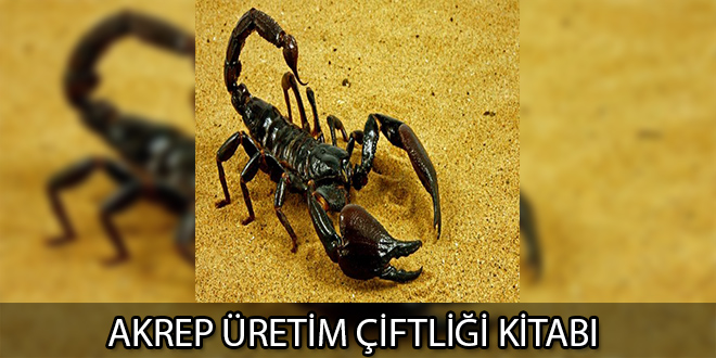 Akrep Üretim Çiftliği Özeti Nevzat Üstün