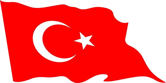 Bayrağımızı ve yurdumuzu niçin sevdiğinizi kompozisyon kurallarına uygun olarak açıklayınız.