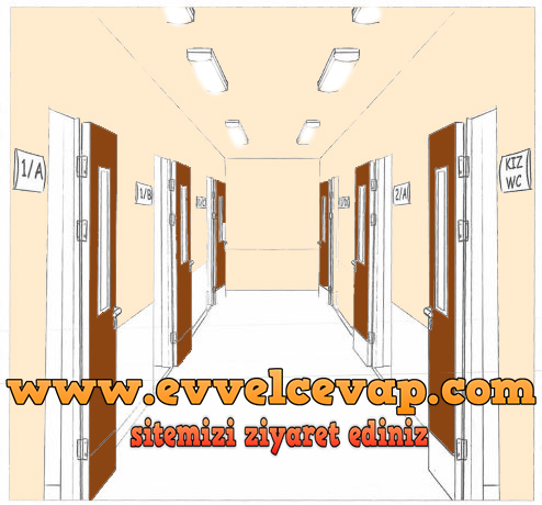 Aşağıdaki resmi inceleyiniz. 1/B sınıfının yerini tarif ediniz. Resmi boyayınız.