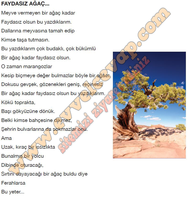 10. Sınıf Felsefe Semih Ofset Yayınları Ders Kitabı Cevapları Sayfa 33