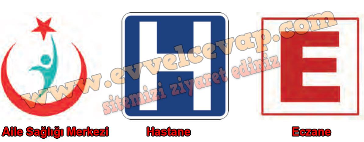 2. Sınıf Hayat Bilgisi Beşgen Yayıncılık Ders Kitabı Sayfa 110 Cevabı 