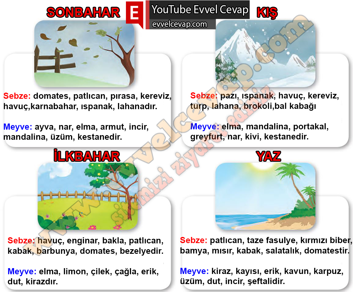 2. Sınıf Hayat Bilgisi Beşgen Yayıncılık Ders Kitabı Sayfa 115 Cevabı 