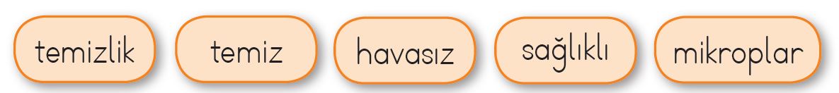 2. Sınıf Hayat Bilgisi Beşgen Yayıncılık Ders Kitabı Sayfa 118 Cevabı