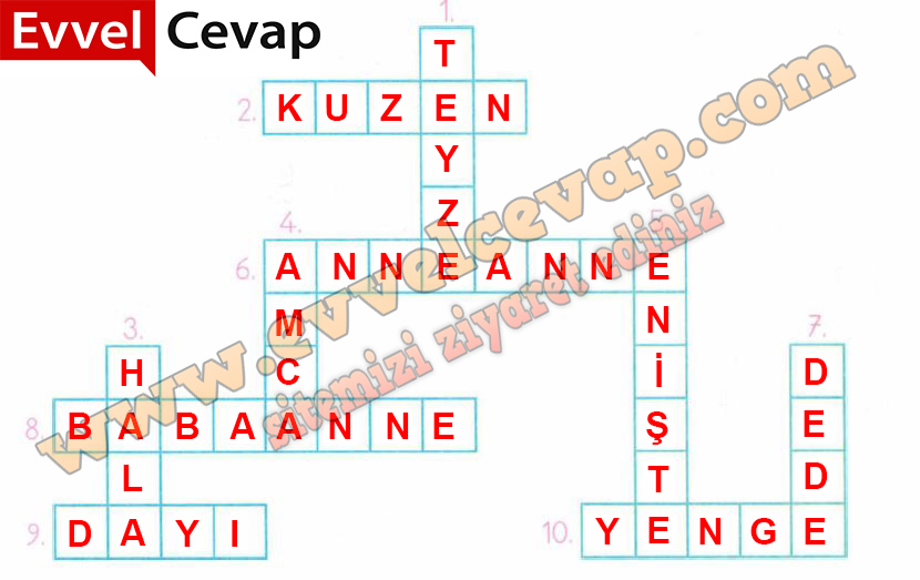 2. Sınıf Hayat Bilgisi Beşgen Yayıncılık Ders Kitabı Sayfa 65 Cevabı 