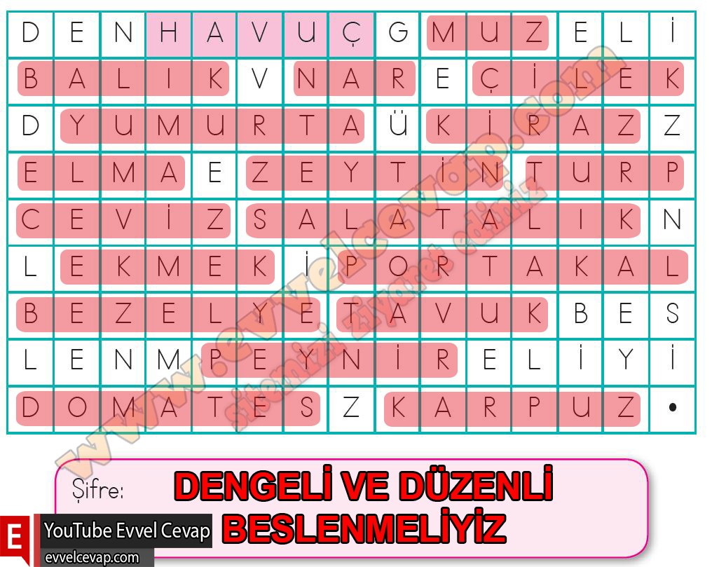 2. Sınıf Hayat Bilgisi Beşgen Yayıncılık Ders Kitabı Sayfa 96 Cevabı 