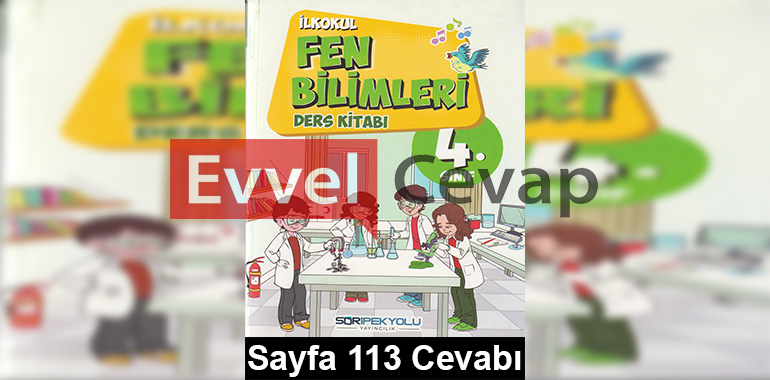 4. Sınıf Fen Bilimleri SDR İpekyolu Yayıncılık Ders Kitabı Cevapları Sayfa 113