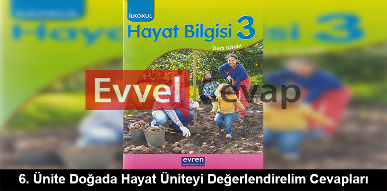 6. Ünite Doğada Hayat Üniteyi Değerlendirelim Cevapları (3. Sınıf Hayat Bilgisi)