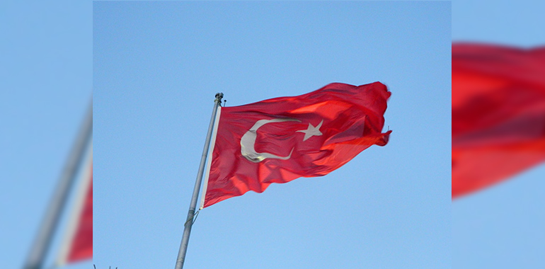 Arif Nihat Asya Bir Bayrak Rüzgar Bekliyor Şiir İncelemesi