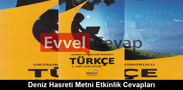 Deniz Hasreti Metni Etkinlik Cevapları (6. Sınıf Türkçe)