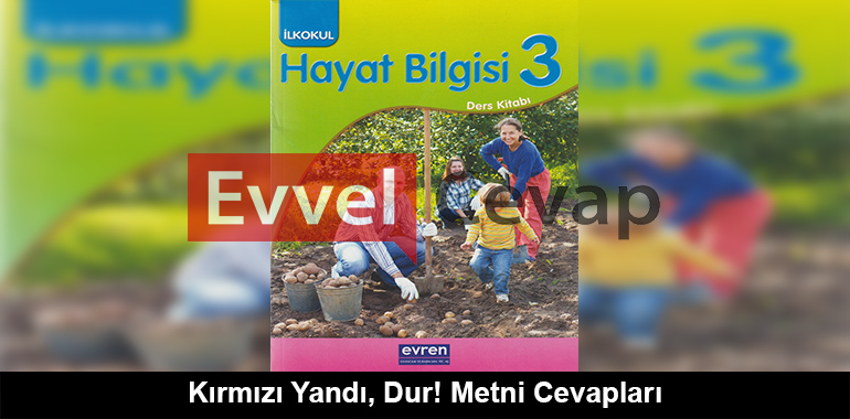 Kırmızı Yandı, Dur! Metni Cevapları (3. Sınıf Hayat Bilgisi)