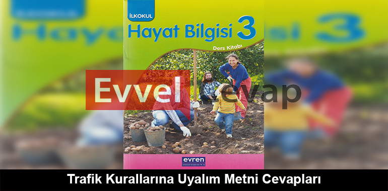 Trafik Kurallarına Uyalım Metni Cevapları (3. Sınıf Hayat Bilgisi)