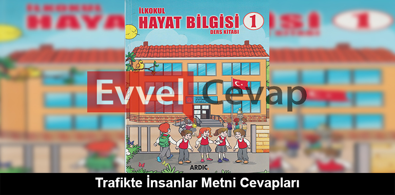 Trafikte İnsanlar Metni Cevapları (1. Sınıf Hayat Bilgisi)