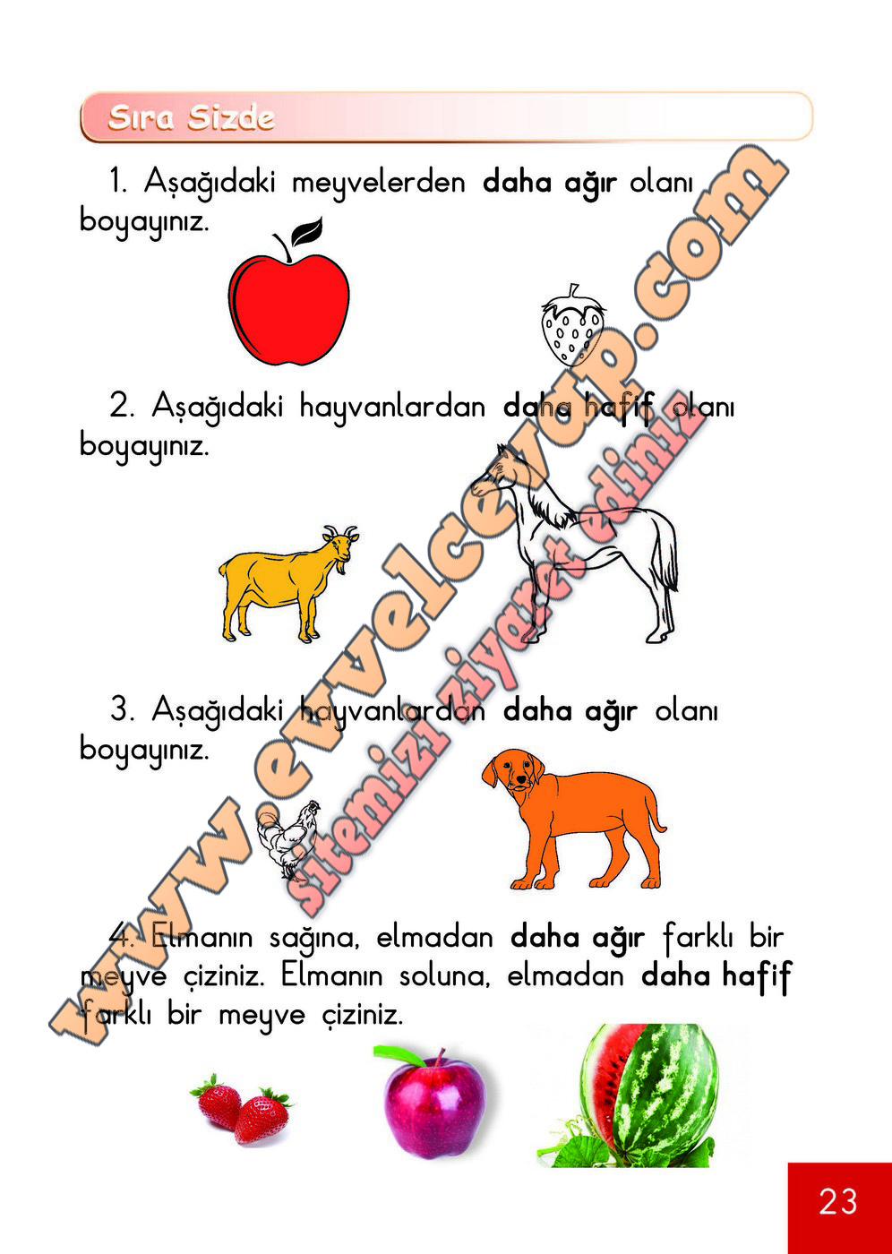 1. Sınıf Matematik Meb Yayınları Ders Kitabı Cevapları Sayfa 23