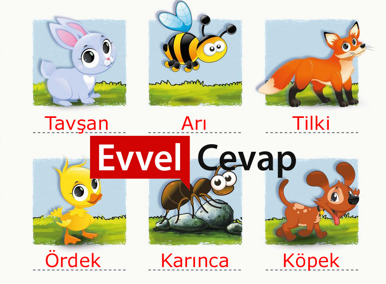  1. Sınıf Türkçe Ders Kitabı Meb Yayınları Sayfa 42 Cevabı